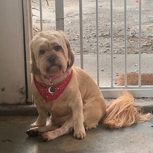 Meet your Posher, Aggie